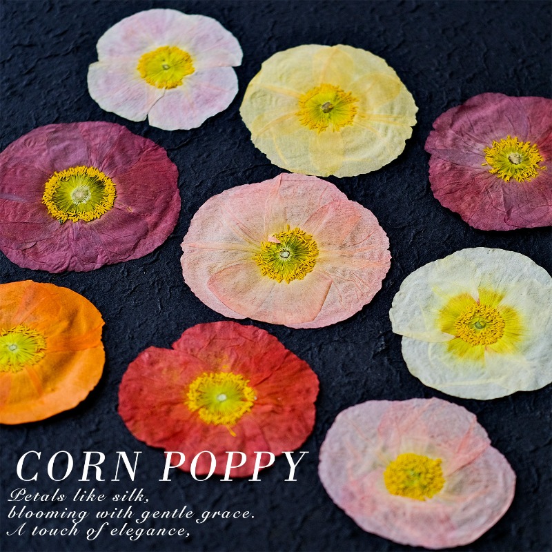 1pcs,Nature Field Poppy Presse - огляд і ціна Resin Art Frame
