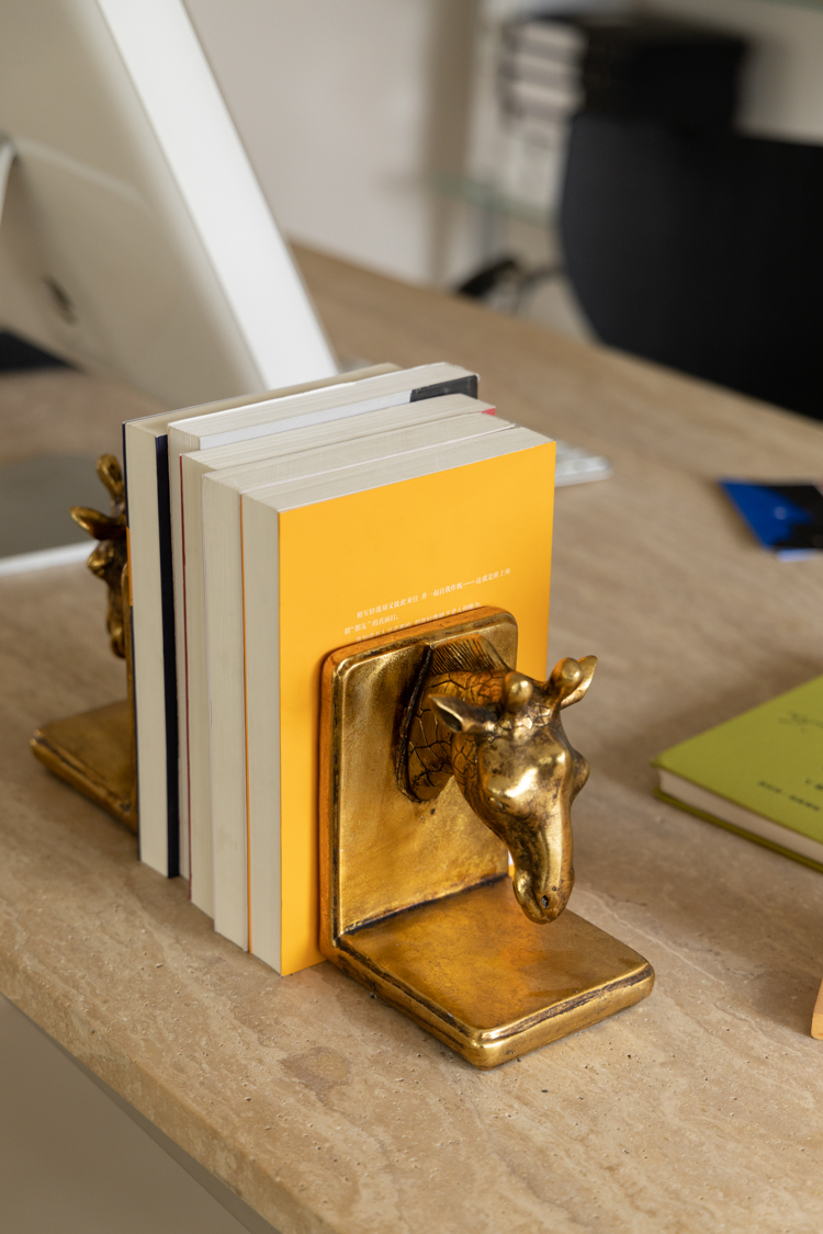 Golden Animal Resin Craft Gira - огляд і ціна Resin Art Book