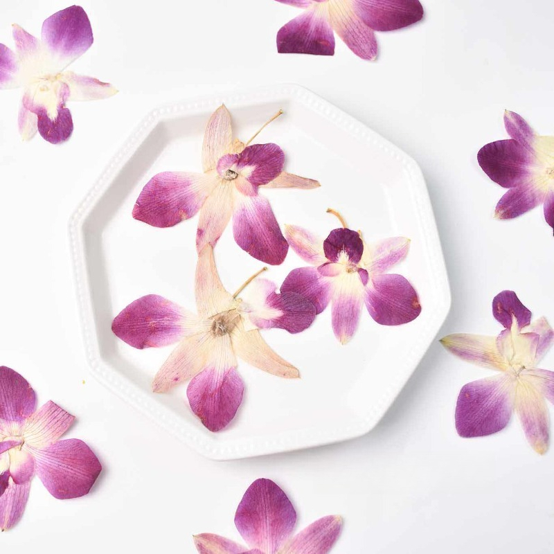 4pcs,Real Pressed Butterfly Or - огляд і ціна Resin Art Frame