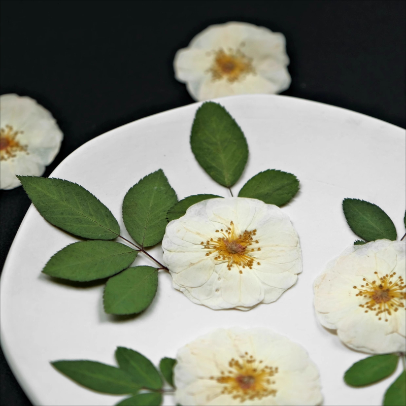 6pcs,9pcs,Nature White Rose Pr - огляд і ціна Resin Art Epoxy