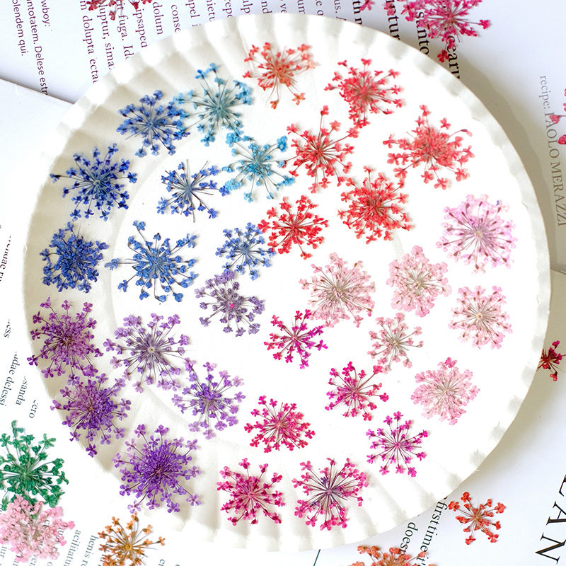 24pcs, 2-2.5cm, Nature Dyed Mi - огляд і ціна Resin Art Frame