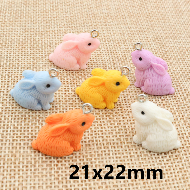 10PCS Resin Pendant Charms Rab - огляд і ціна Resin Art Engagement